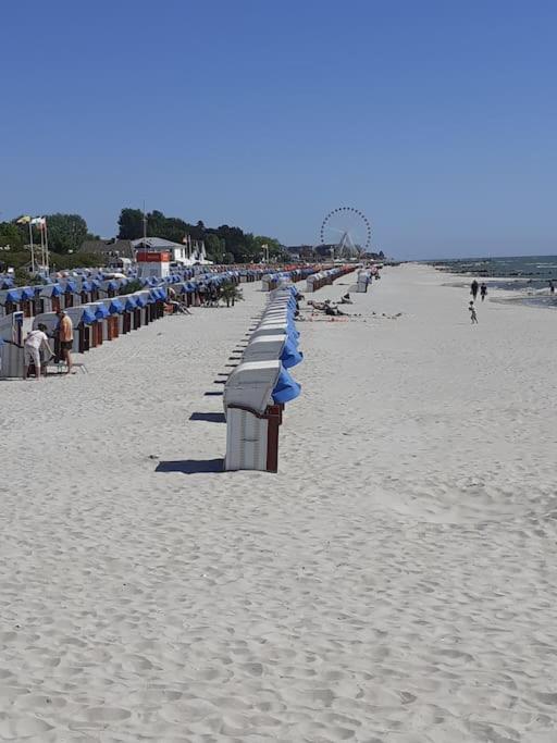 42 Qm Ferienwohnung Grömitz Zewnętrze zdjęcie