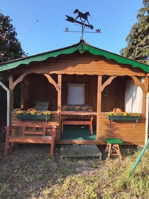 42 Qm Ferienwohnung Grömitz Zewnętrze zdjęcie